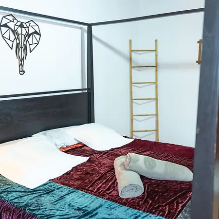 Lirios Apartament Santa Brígida
