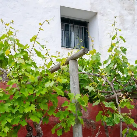 Apartament Lirios *