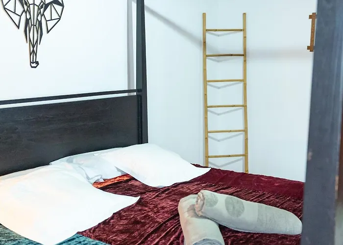 Lirios 公寓 圣布里吉达