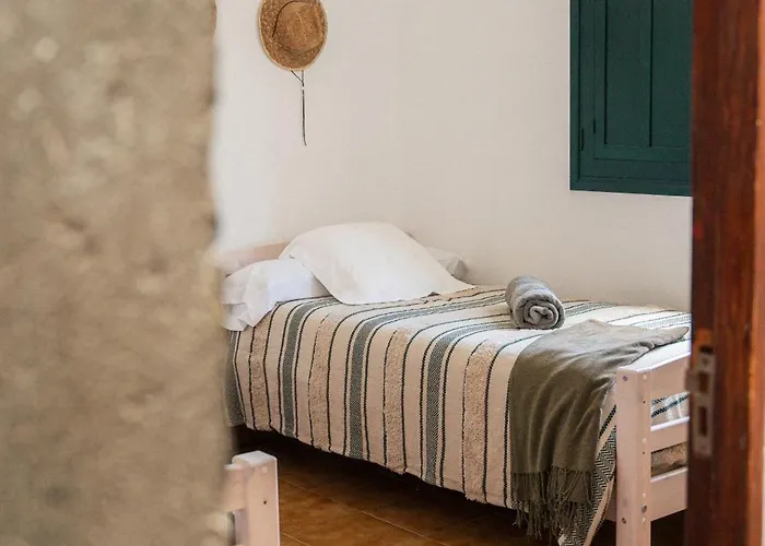 Lirios * 圣布里吉达