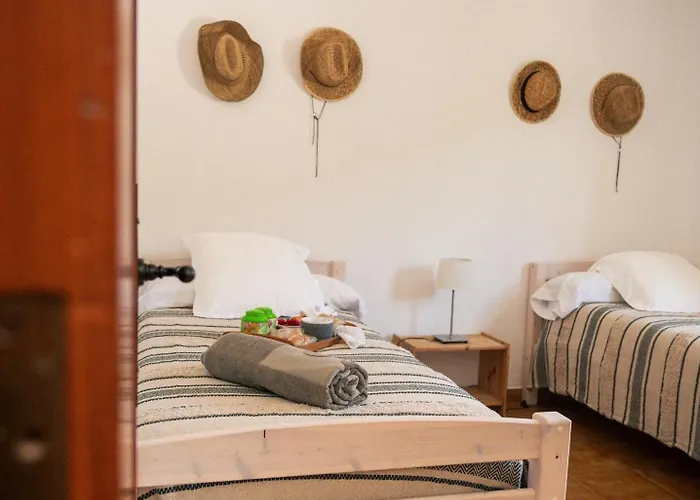 Lirios 圣布里吉达