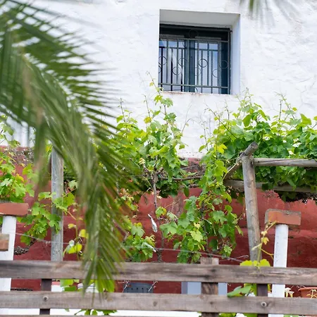 Lirios Apartamento *