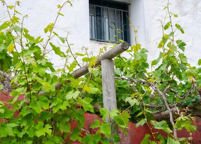 Apartamento Lirios *